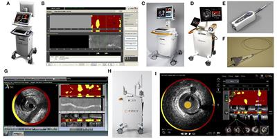 Near-Infrared Spectroscopy Intravascular Ultrasound Imaging: State of the Art